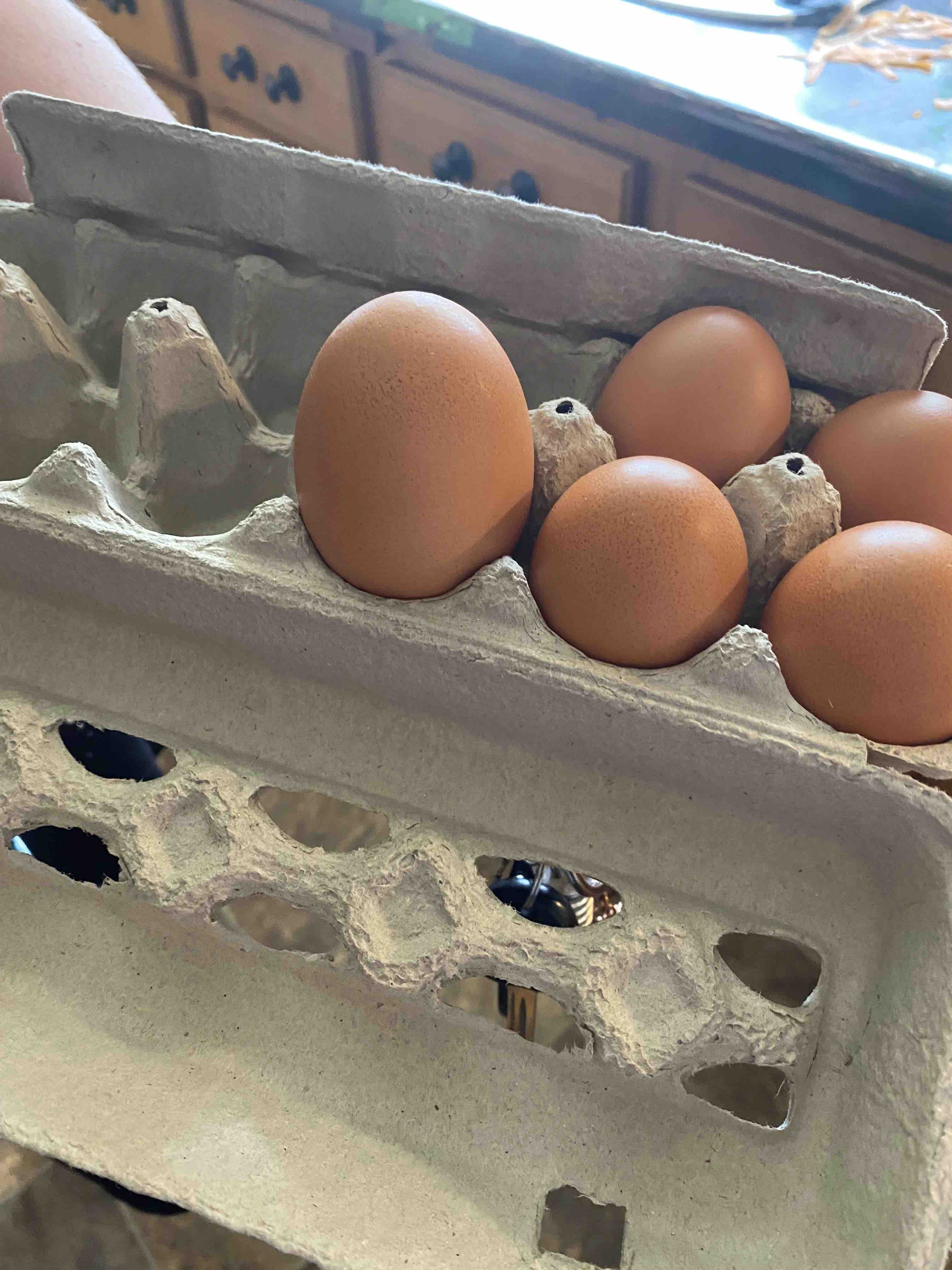 eggs